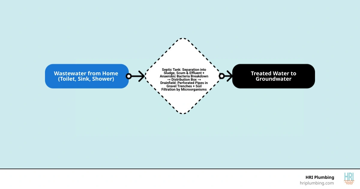10-step septic system wastewater treatment process from home drain to groundwater - how does a septic system work