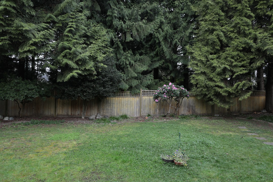 The Homeowner's Guide to Septic Longevity: Keep the Good Times Flowing