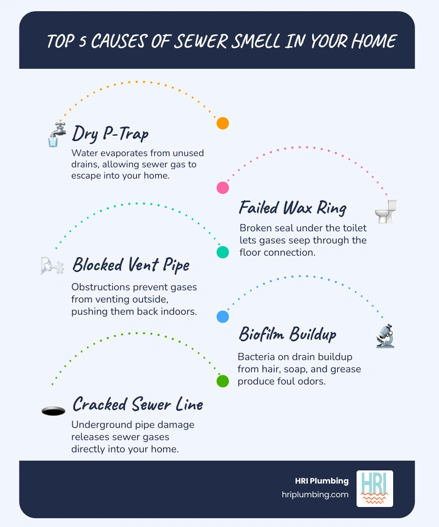 Infographic showing 7 common causes of sewer smell in a home and their locations in a house diagram infographic Infographic showing 7 common causes of sewer smell in a home and their locations in a house diagram infographic
