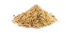 L-Carnitina