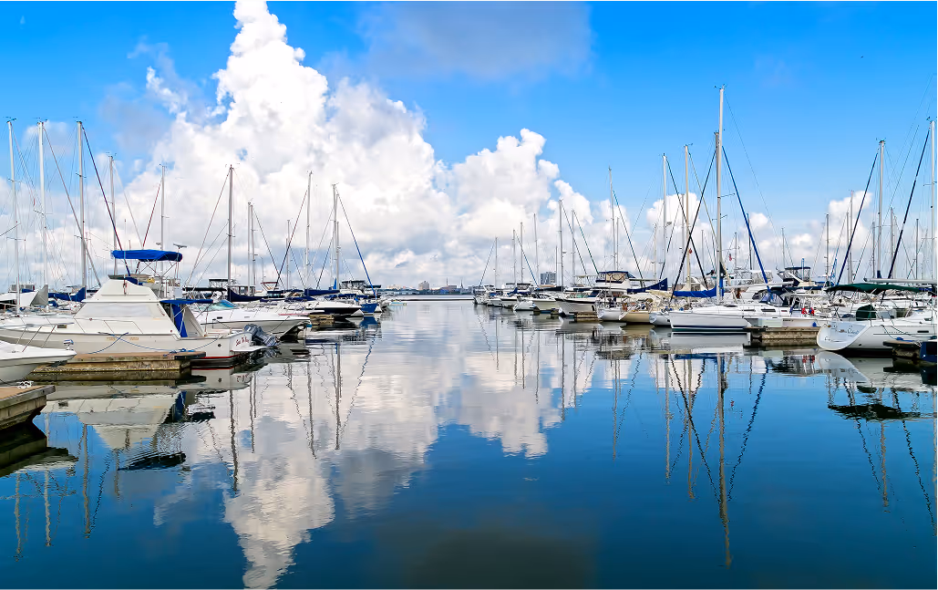 Crowded harbor full of sailboats sitting on calm water against a bright blue sky