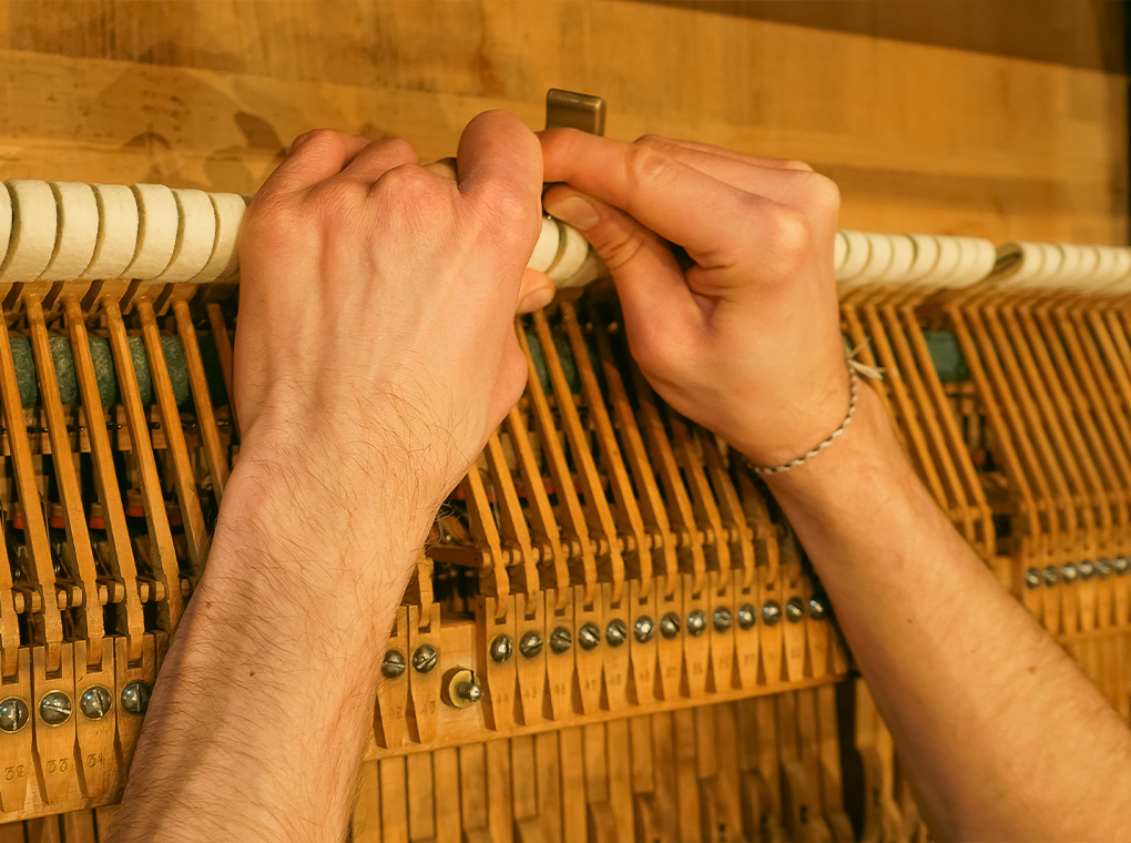 Piano Detail