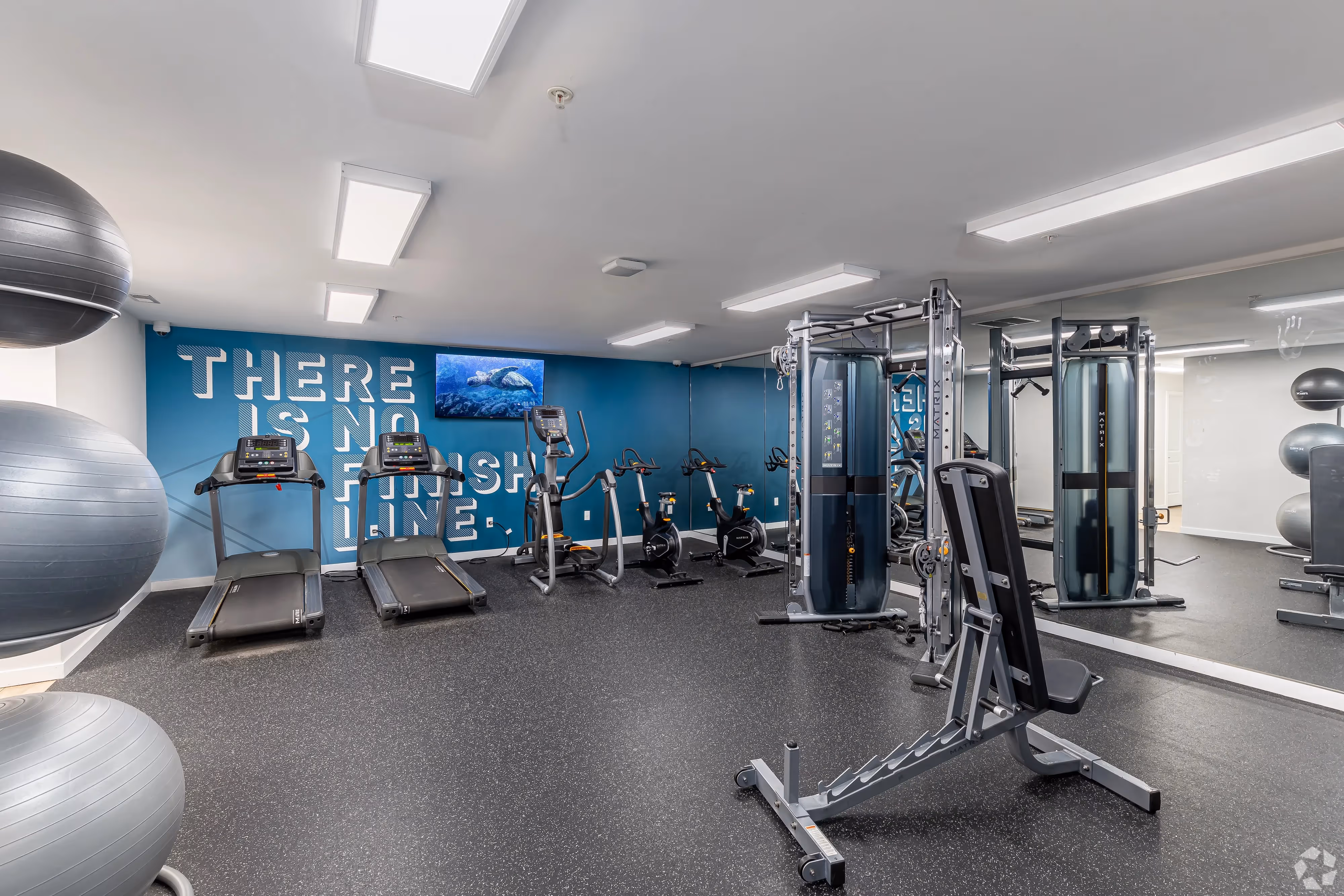Modern fitness center with a range of cardio and strength training equipment, featuring a blue accent wall with motivational text, at Meadowbrook Gardens in Mansfield Center, CT.