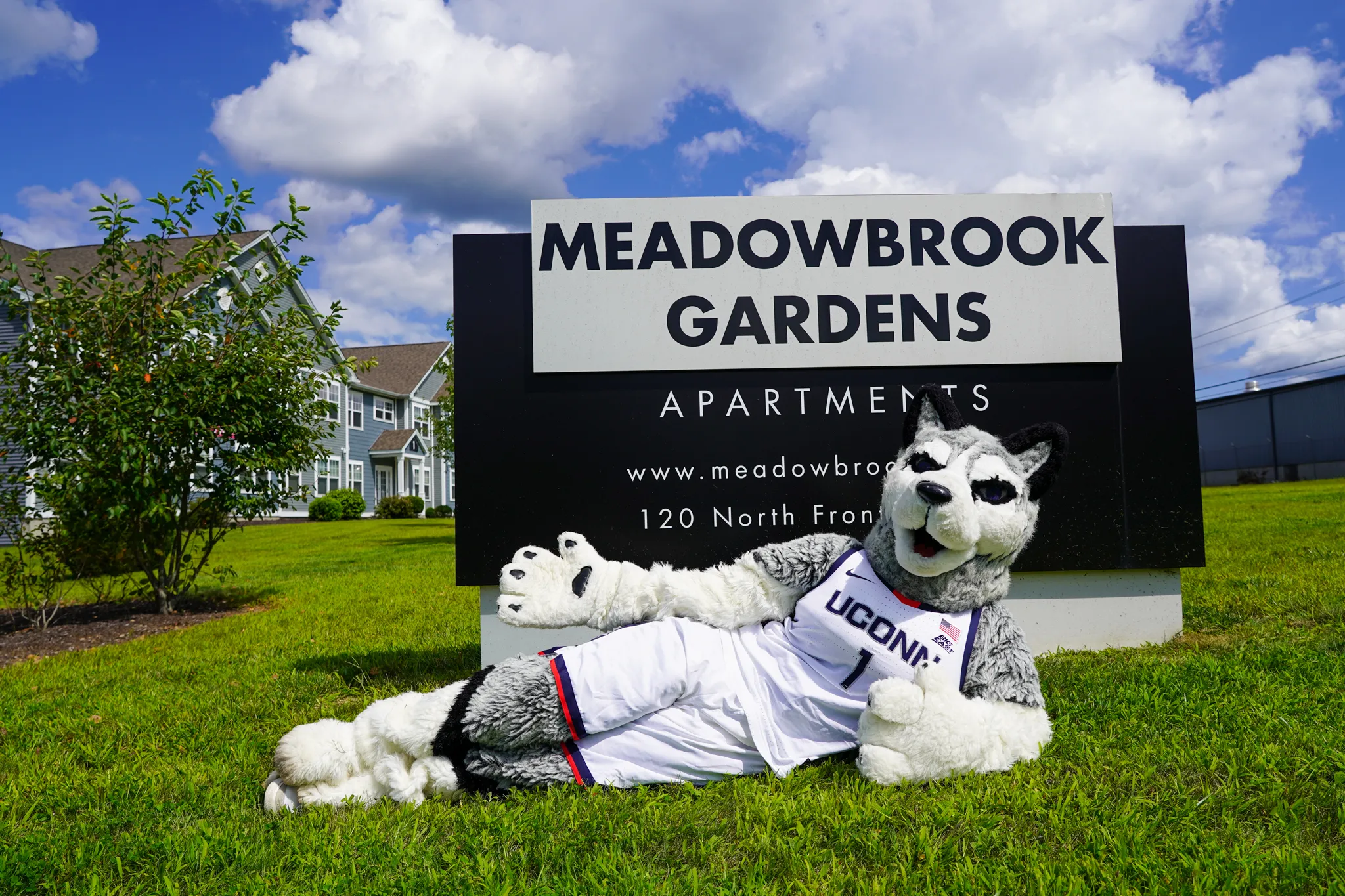 Mascot, phase 3
