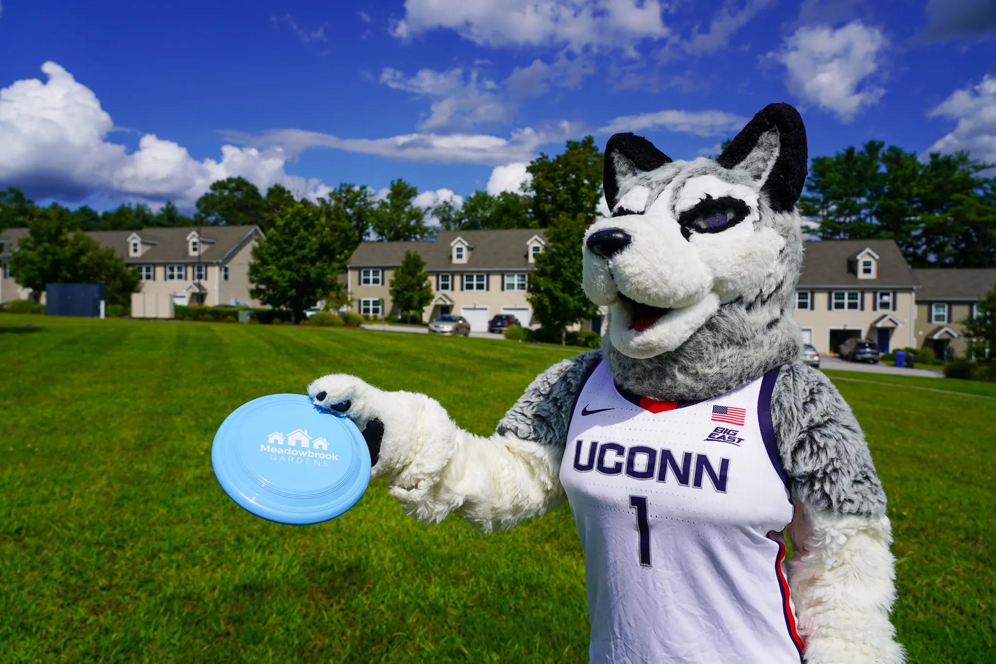 Mascot on green