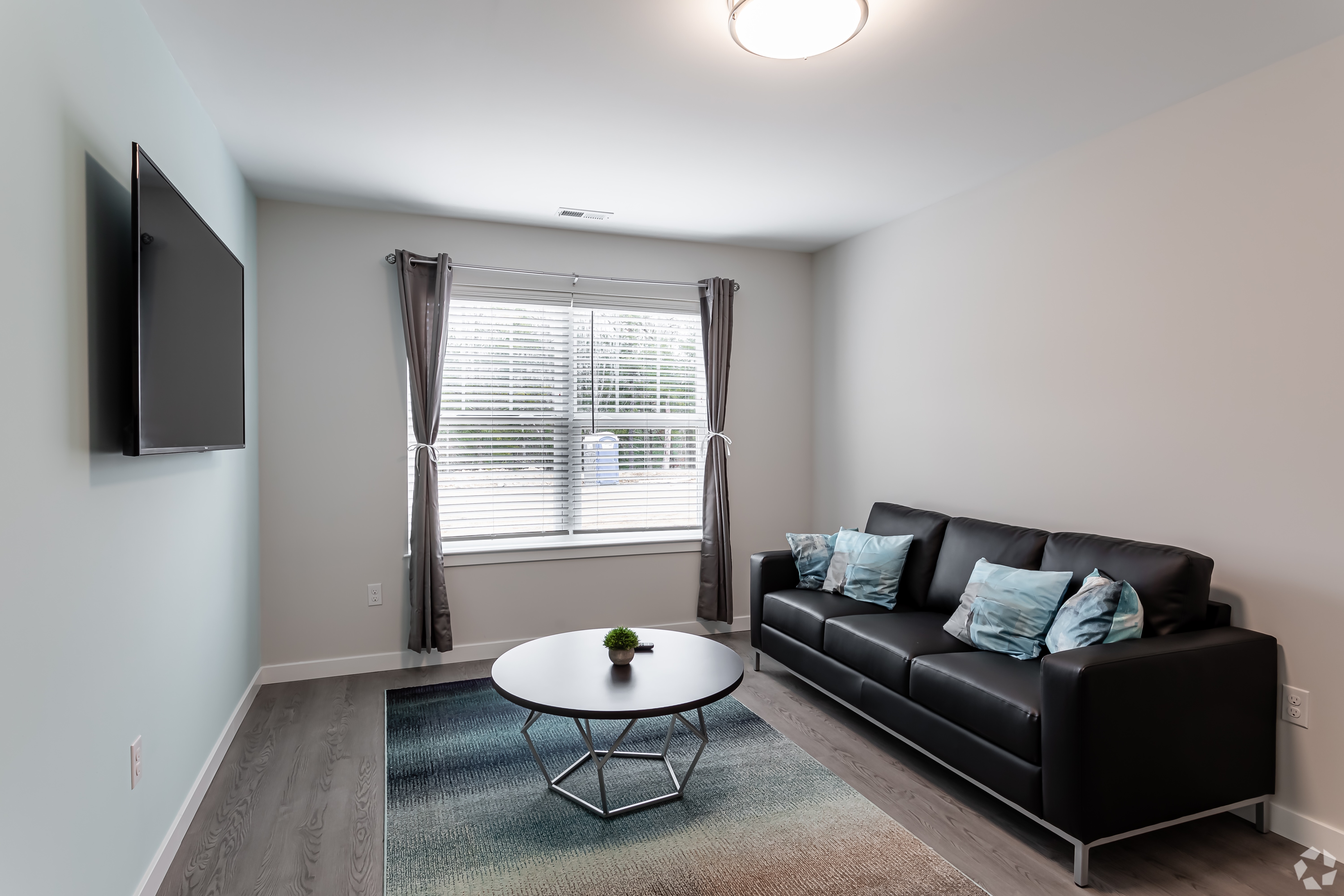 Styled and furnished living room with couch and coffee table