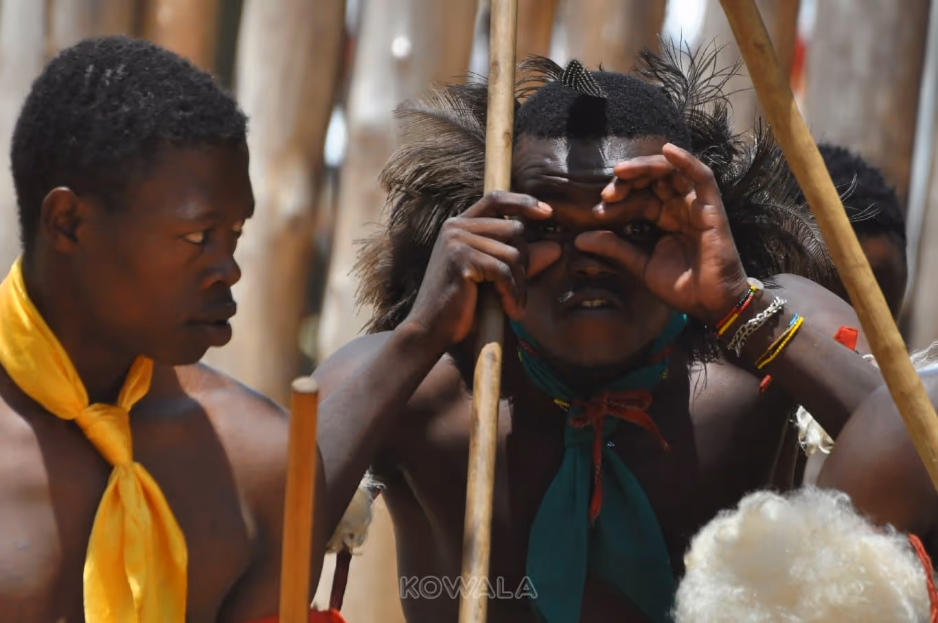 Spectacle traditionnel de danse swaziland
