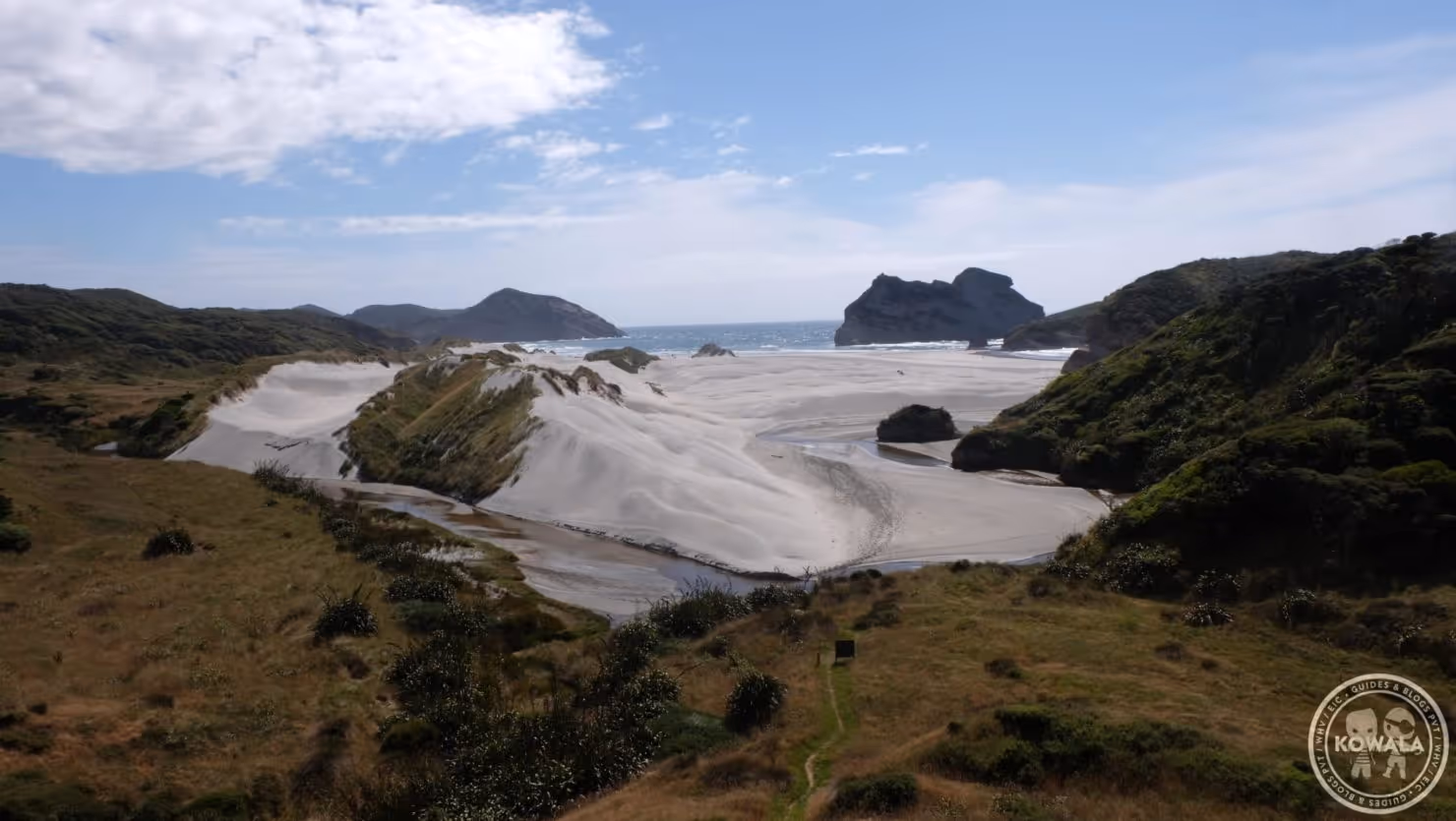 randonnée Wharariki Beach Walking Track