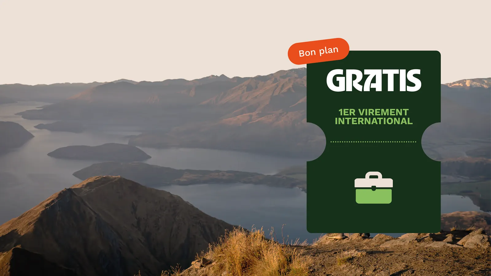 Code promo Wise → Premier virement international gratuit