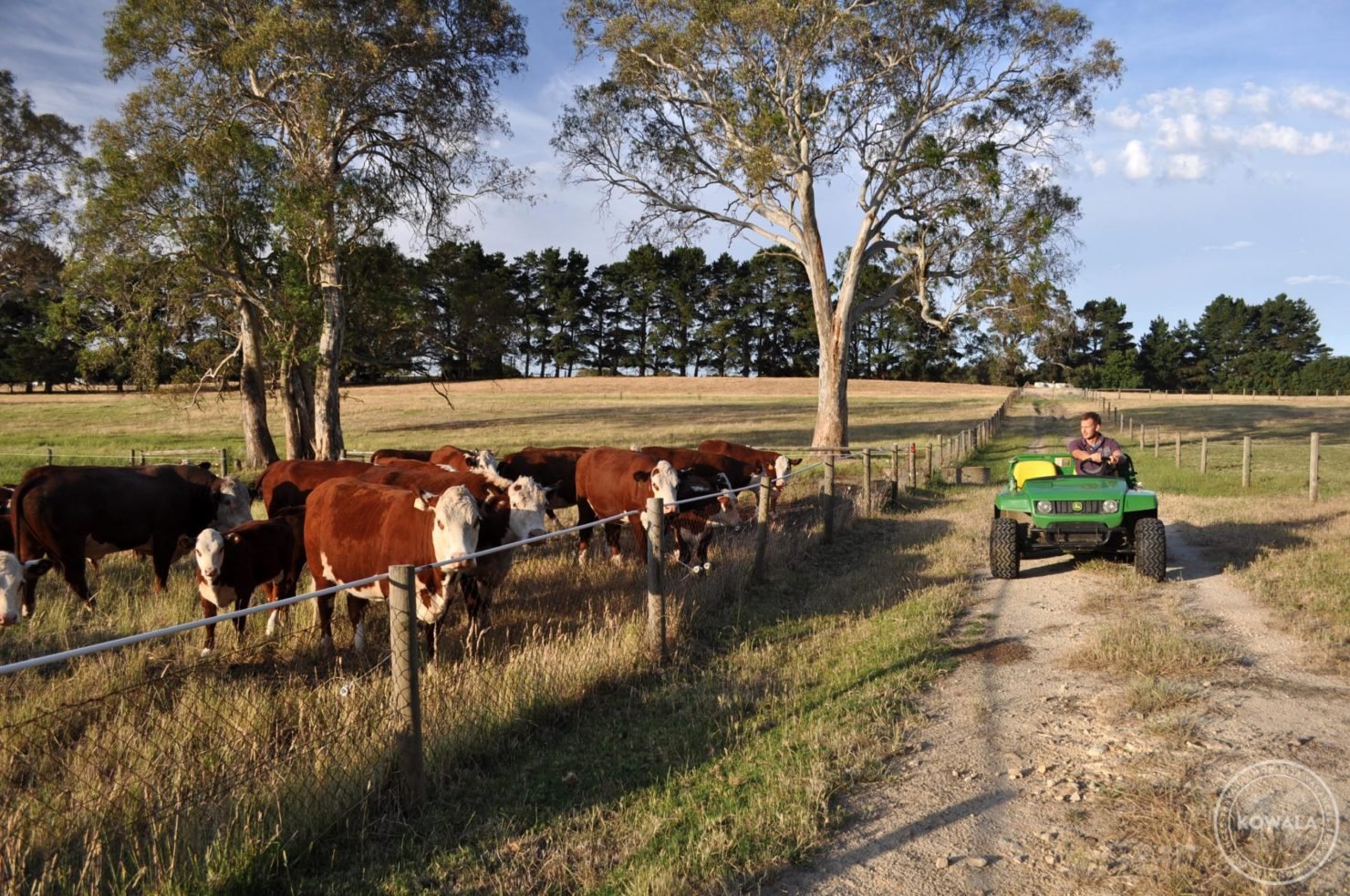 helpx ferme adelaide australie