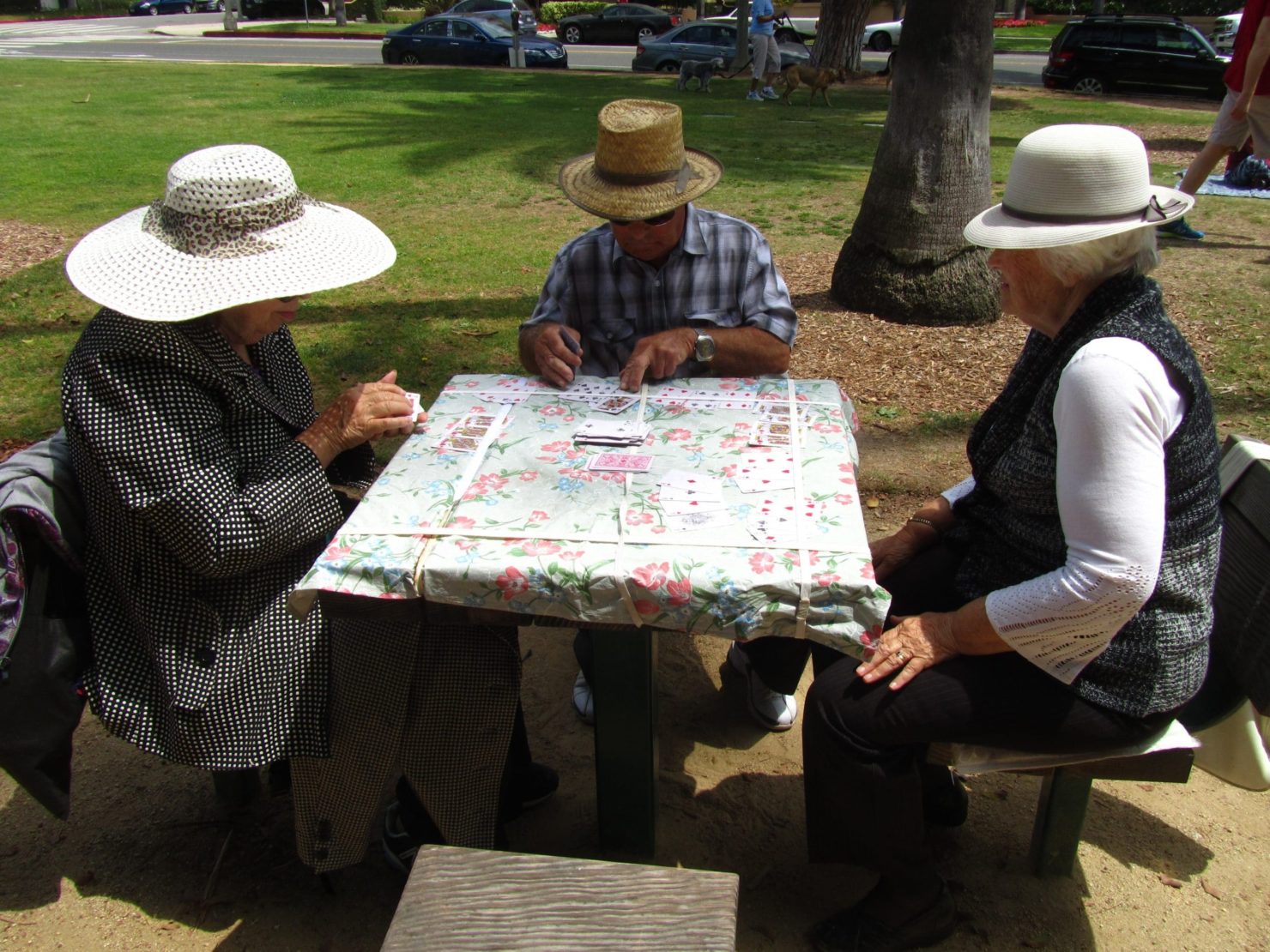 jeu carte voyage vieux