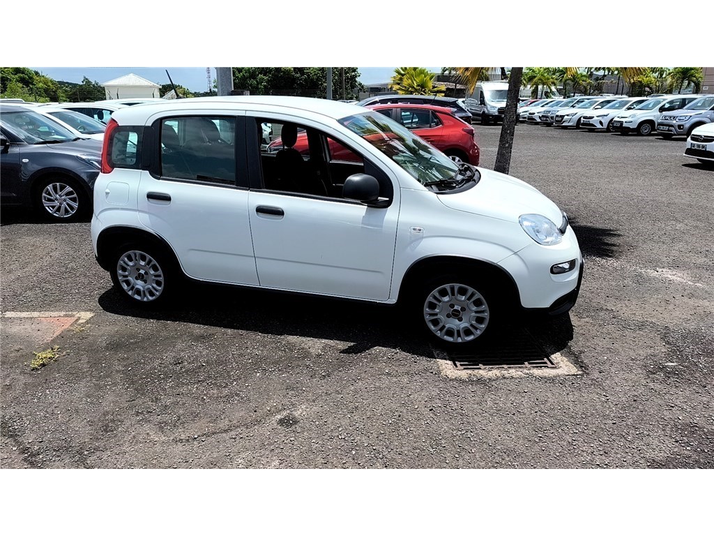 FIAT PANDA POP