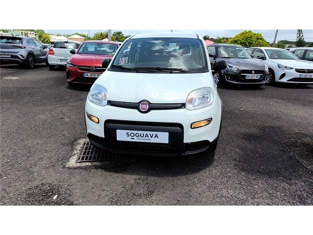 FIAT PANDA POP
