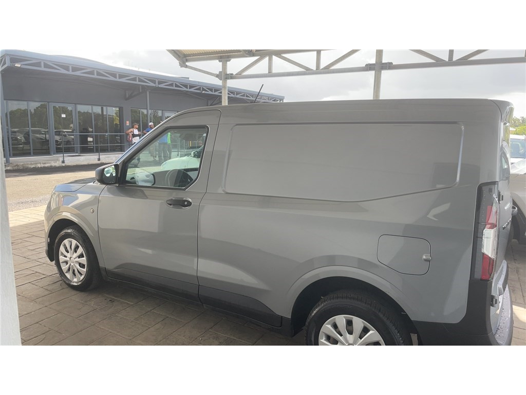 FORD TRANSIT (30) TREND
