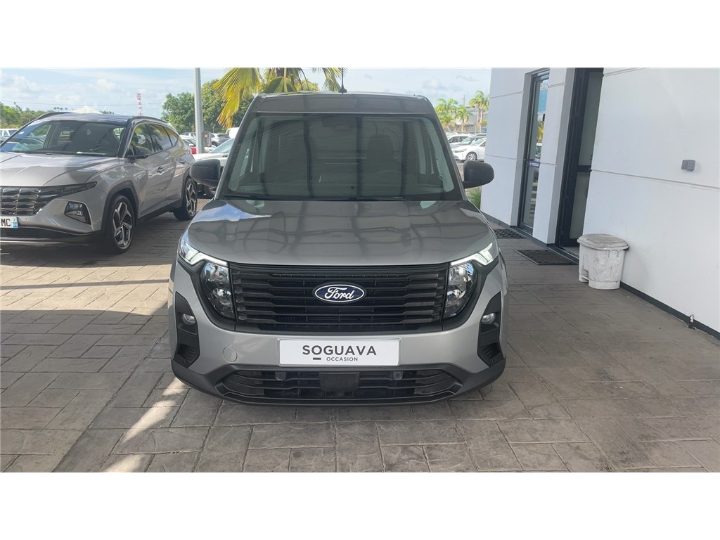 FORD TRANSIT (30) TREND