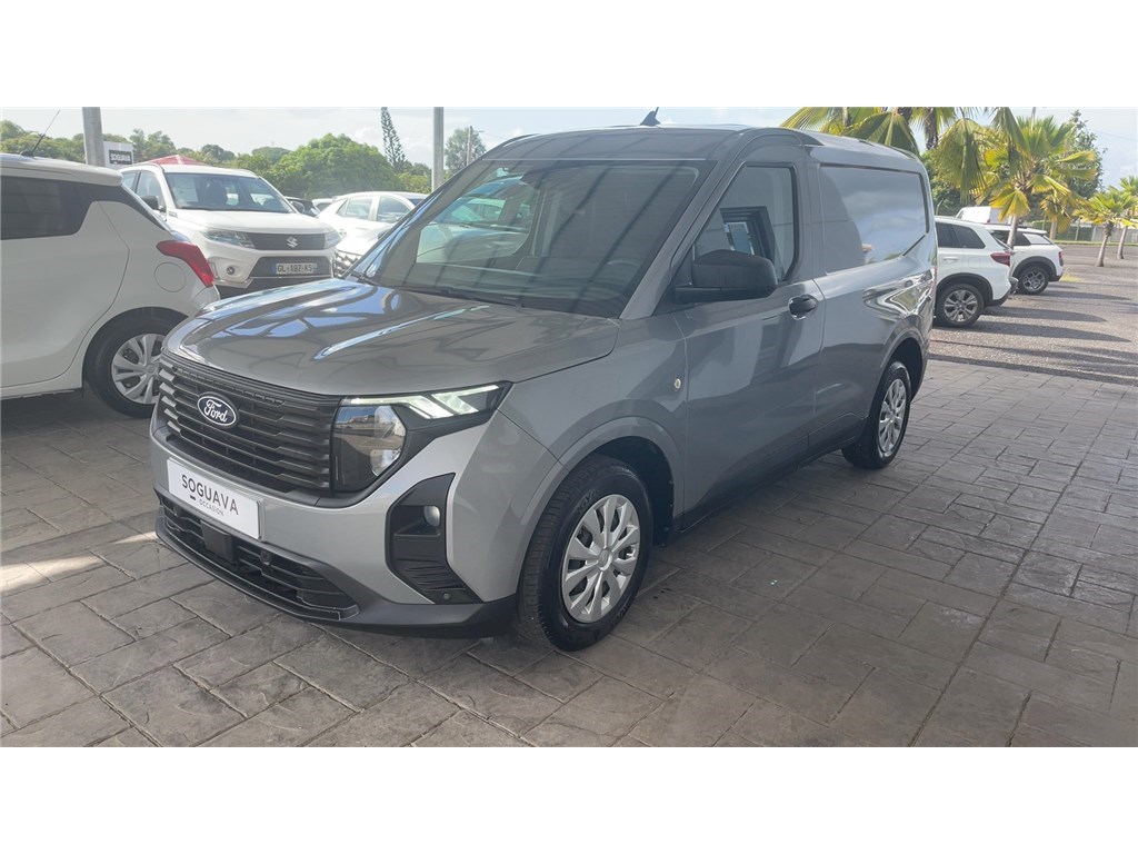 FORD TRANSIT (30) TREND