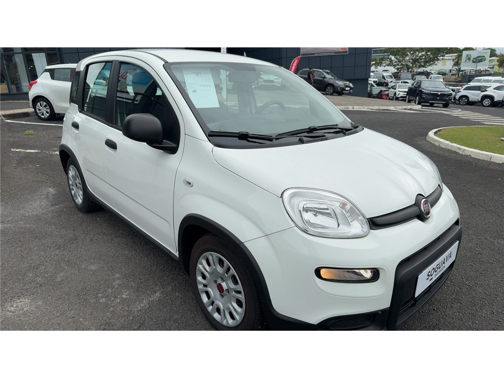 FIAT PANDA 