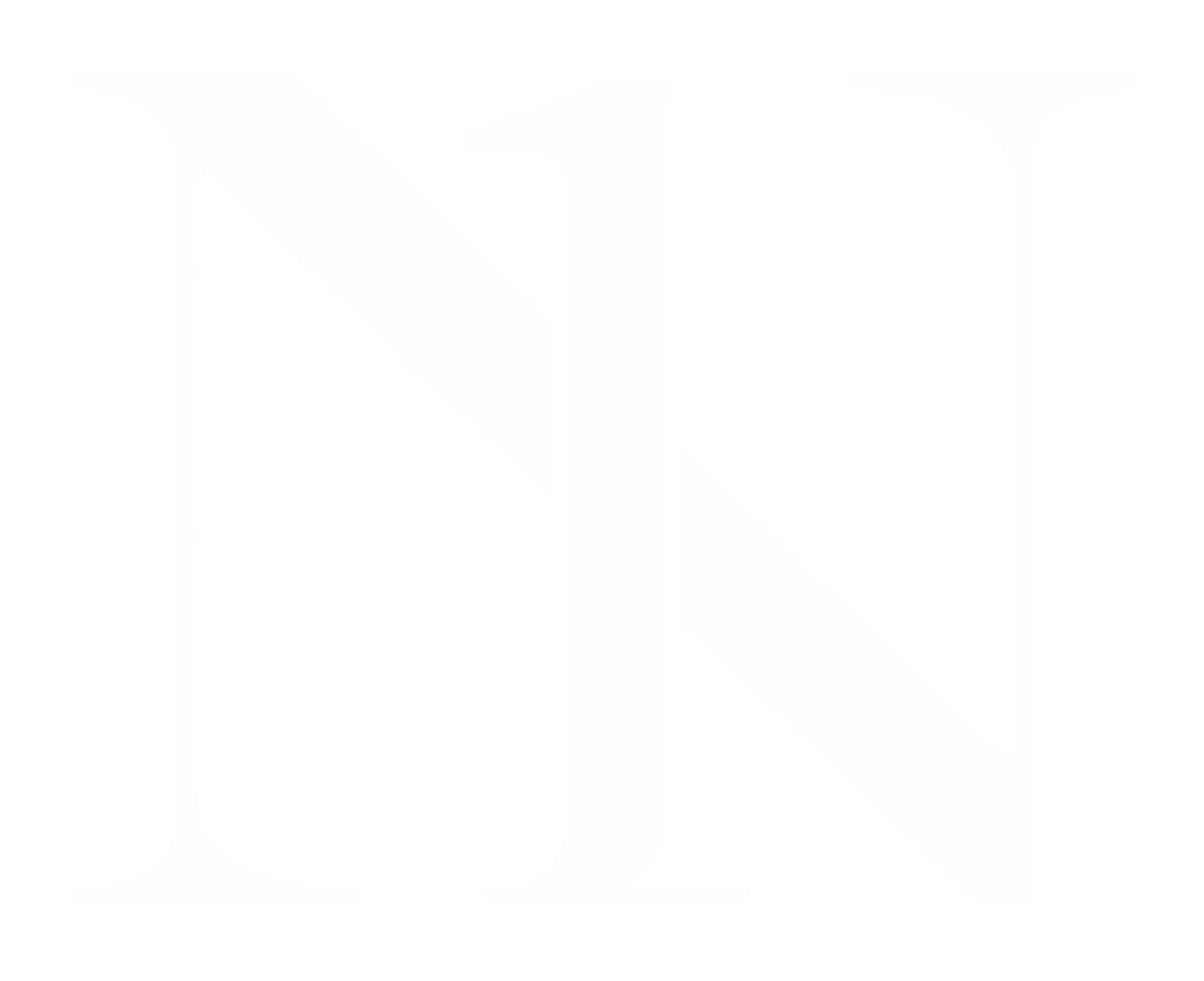 N1 Plastic Surgery Clinic logo