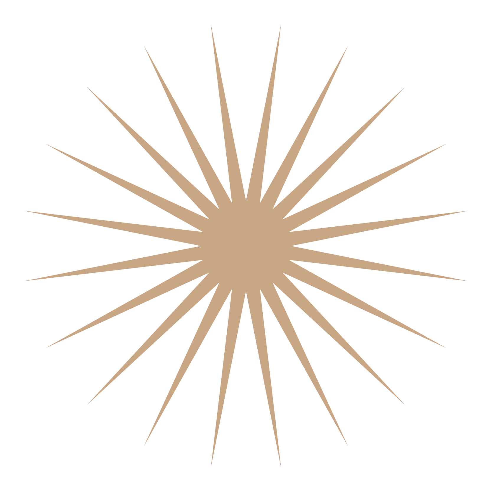 shiny sun icon