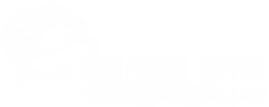 Ireland East Hospital Group logo with stylized 'e' symbol.