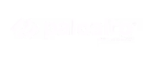 Palo Alto Networks logo with stylized 'paloalto' text and diamond-shaped icon.