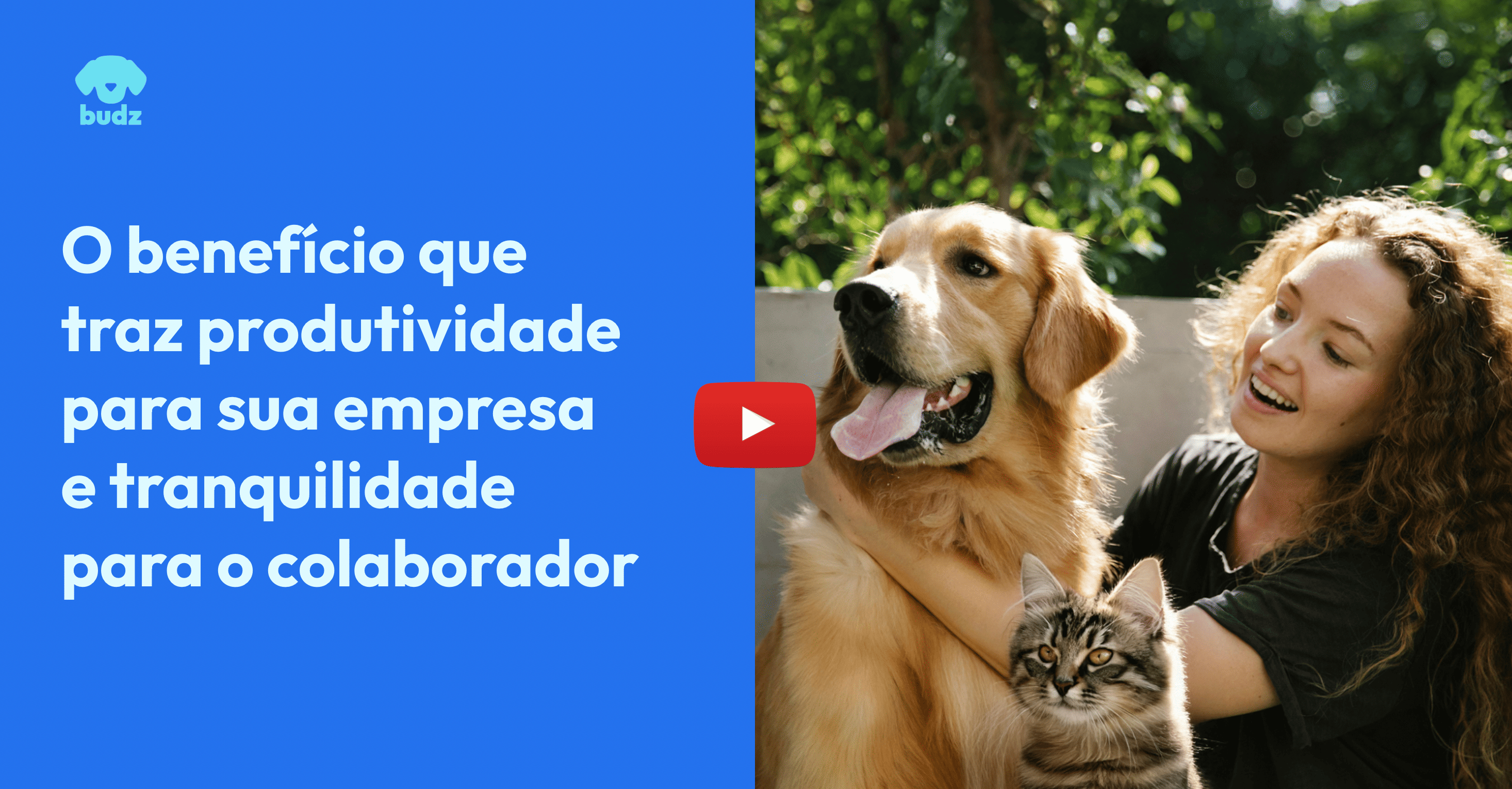 Frame do vídeo do benefício pet