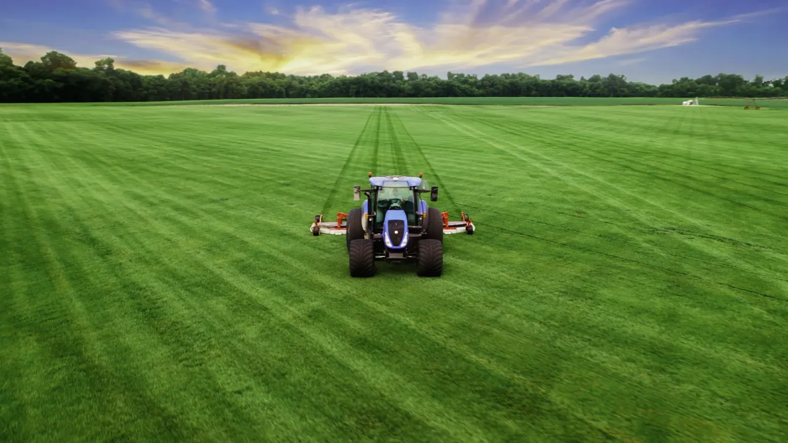 Checkerboard Sod Farm homepage with a tractor in a green field.