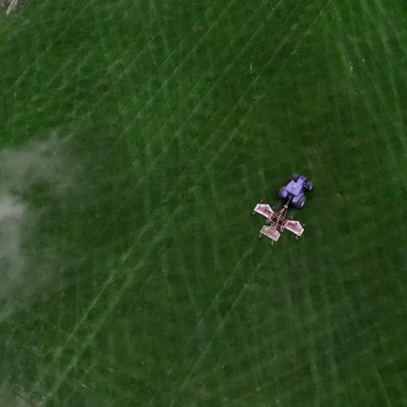 Checkerboard Sod Farm turf detail from the grass section.