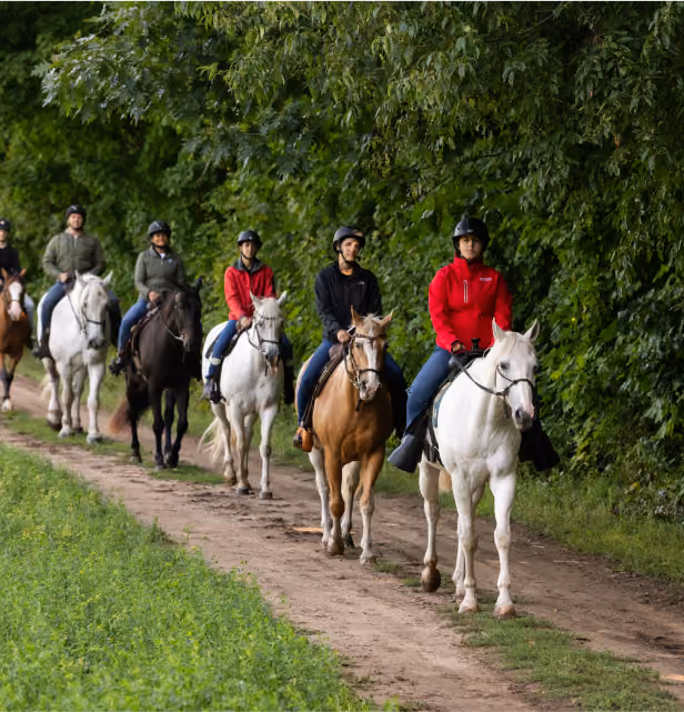 group on a trail ride
