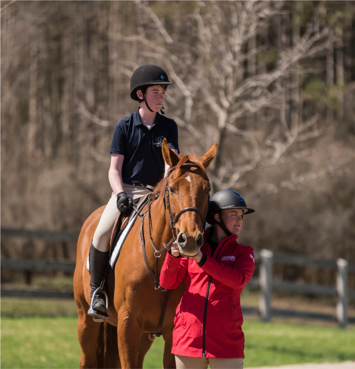 coaching handbook and ressources logo