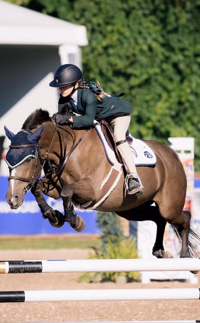 Horse riding class