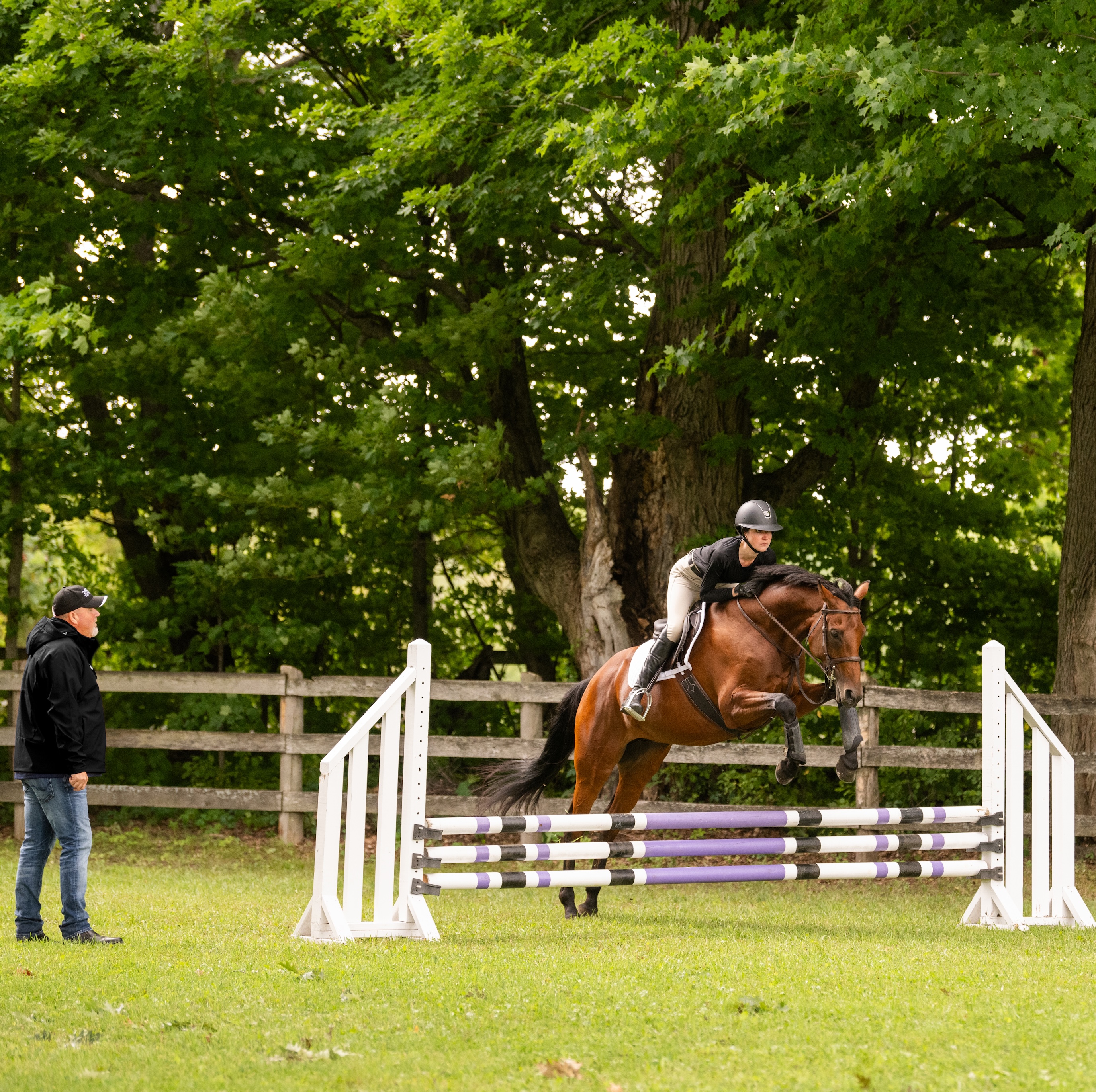 horse riding lesson with coach