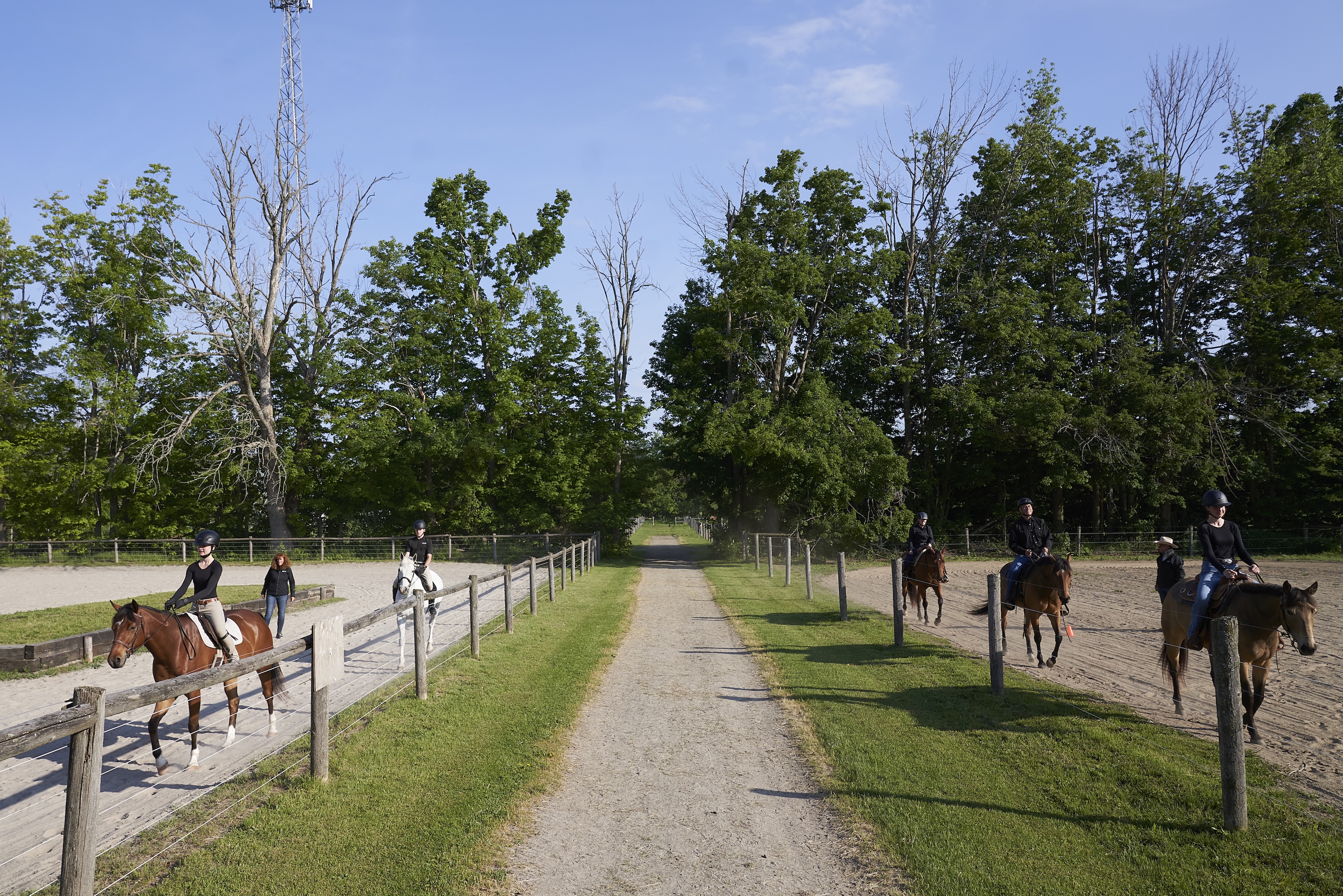 horse riding in a field
