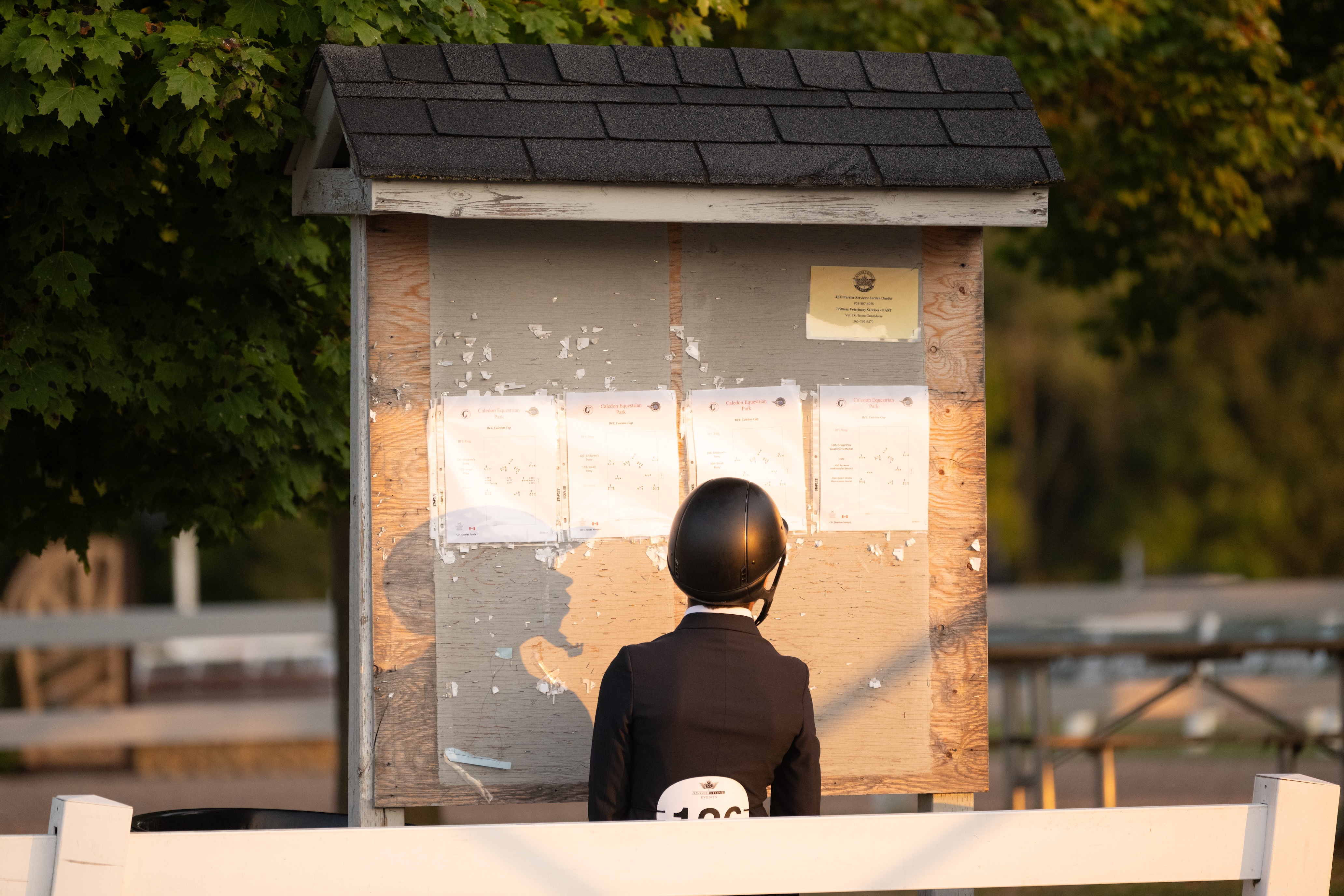 rider looking over a competition jumper ring