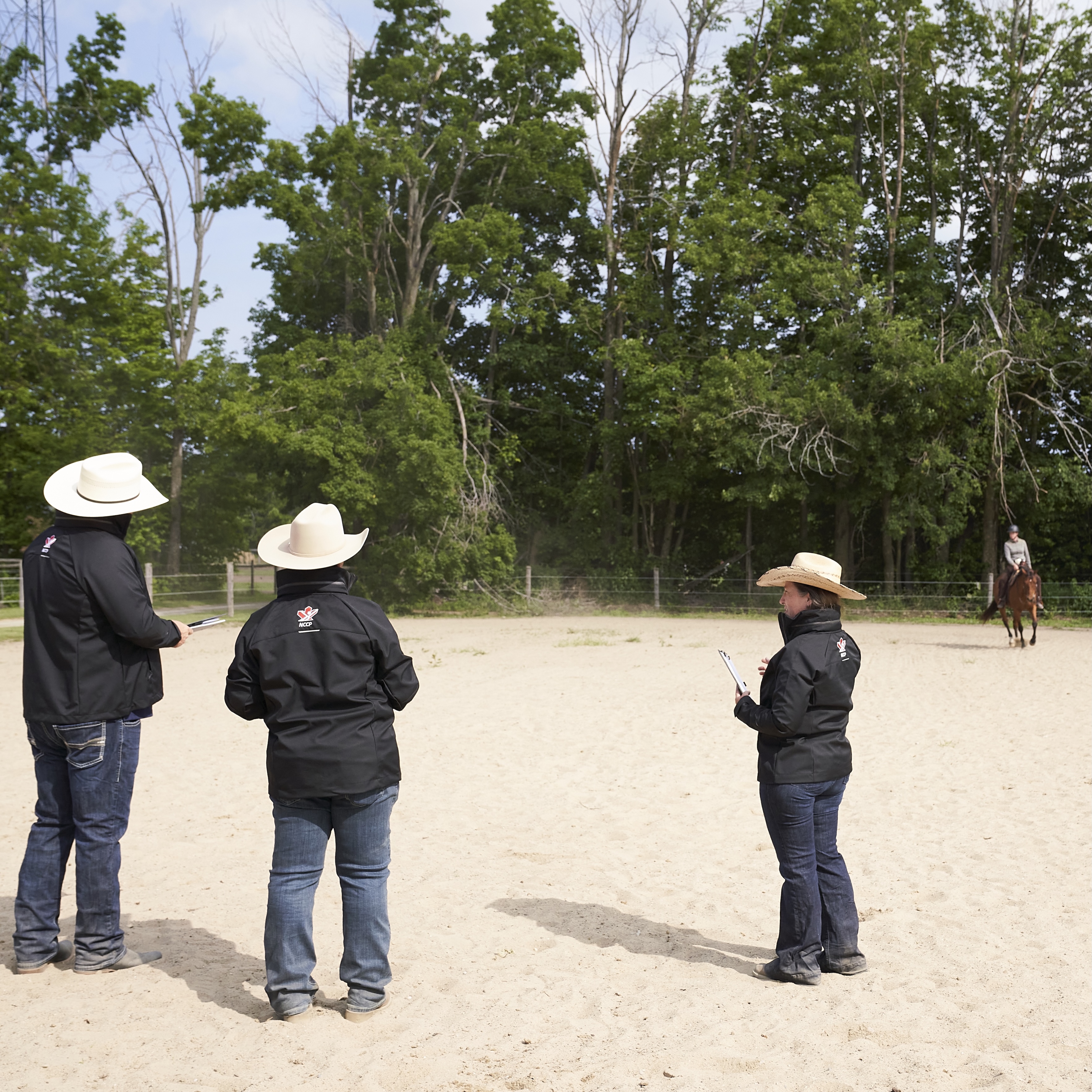 Rider finishing mounting the horse