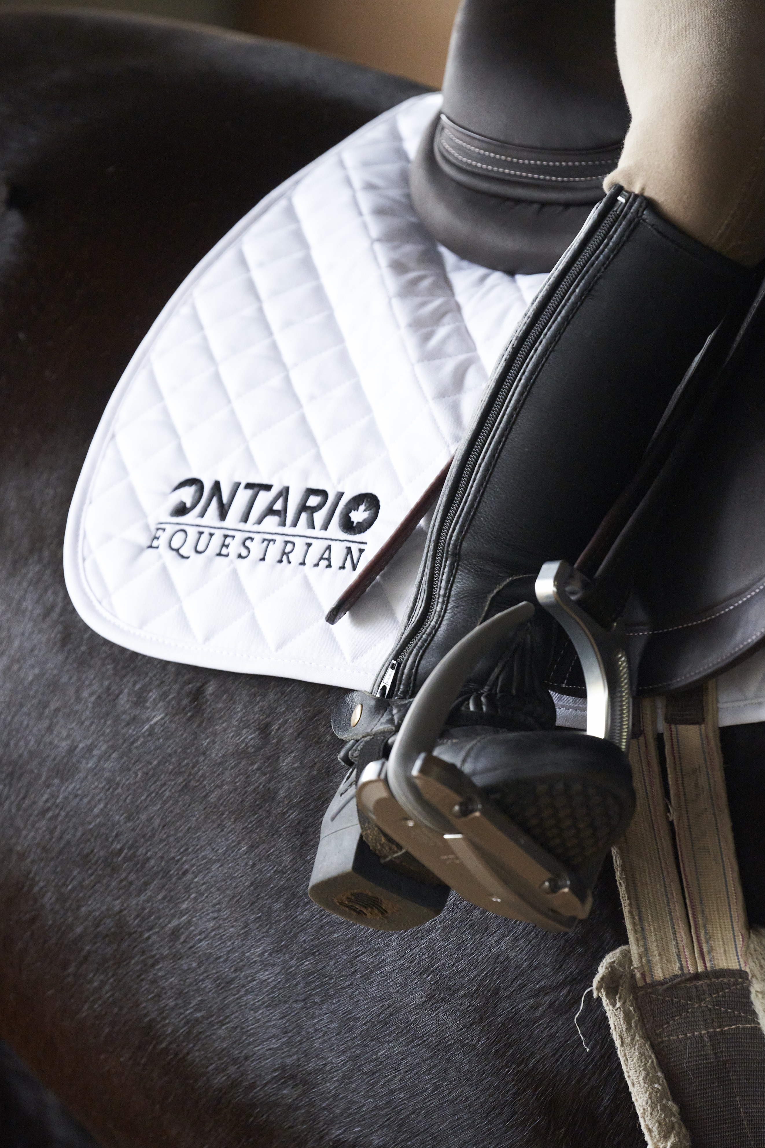 Ontario Equestrian Saddle pad