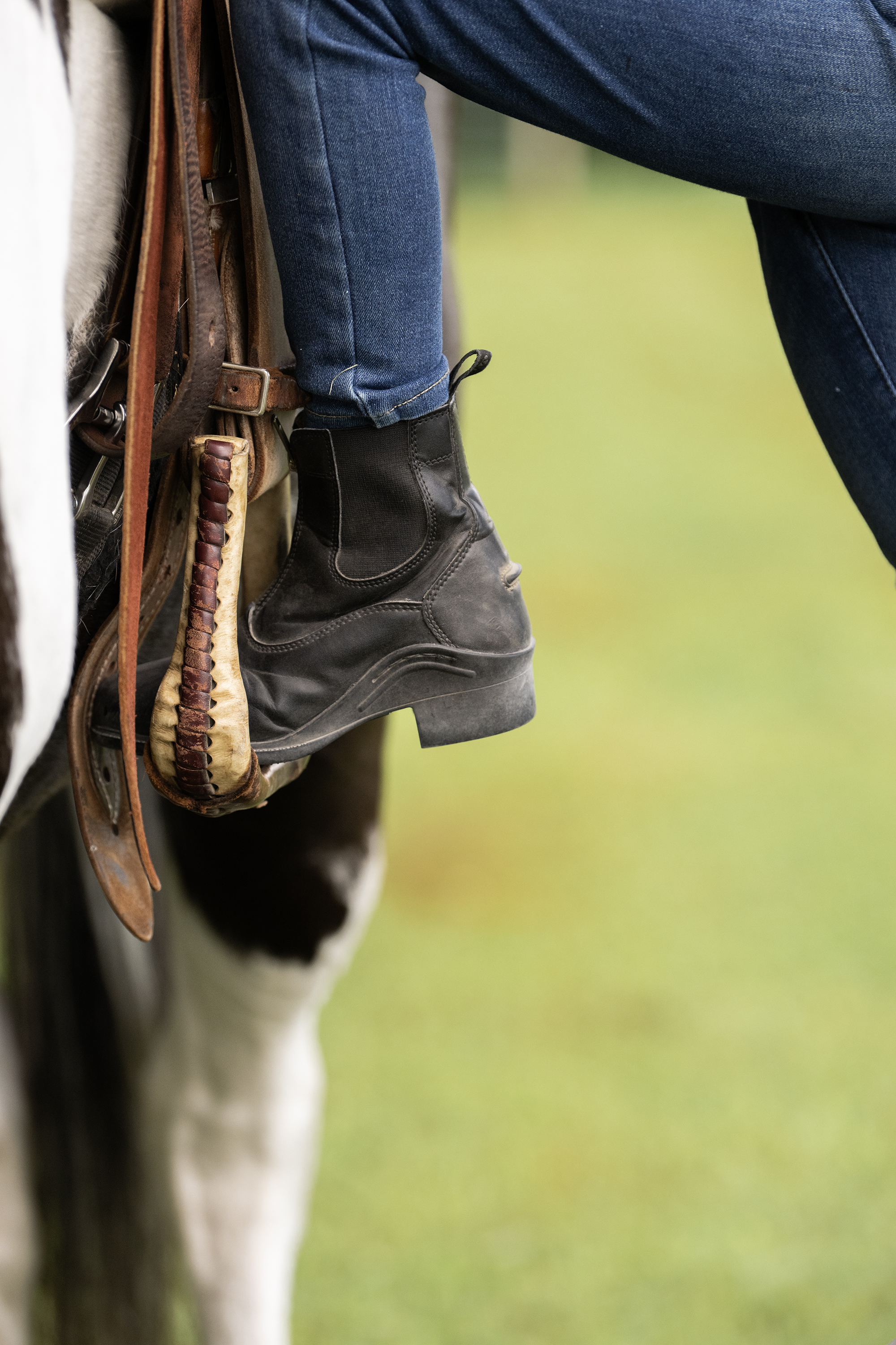 rider scratching a happy horse's face
