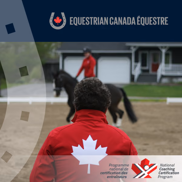 Get access to important information with Ontario Equestrian