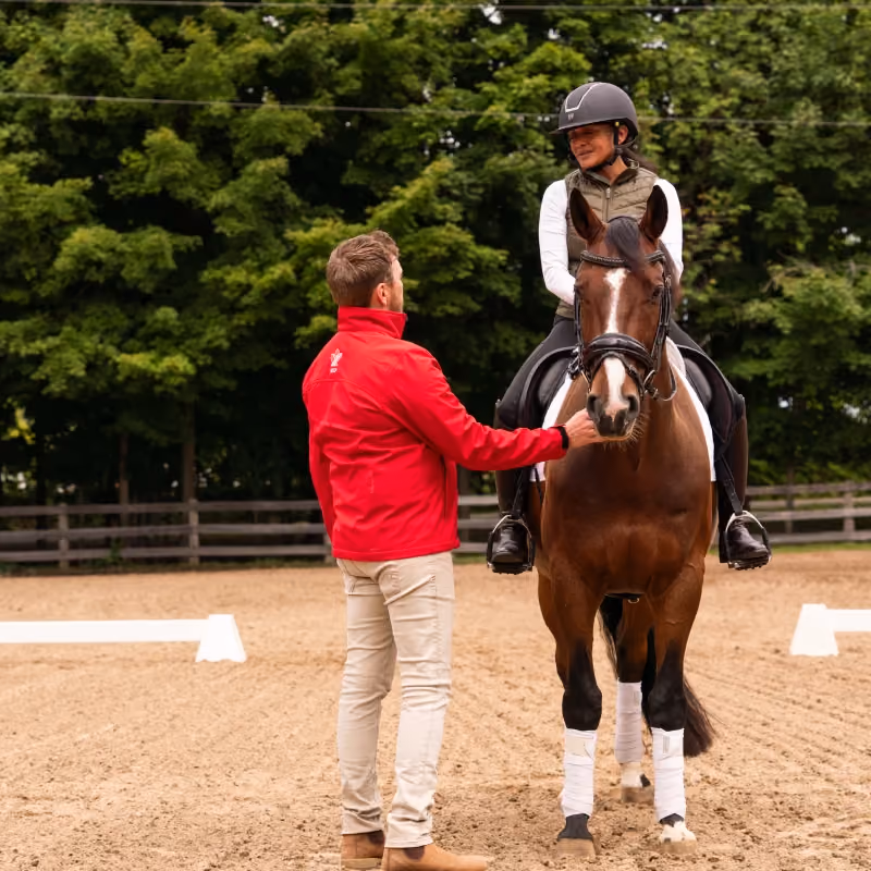 Get access to important information with Ontario Equestrian