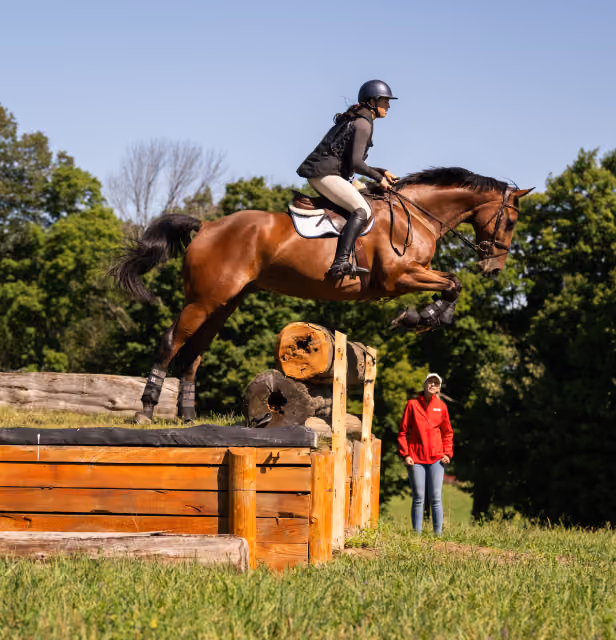 Get access to important information with Ontario Equestrian