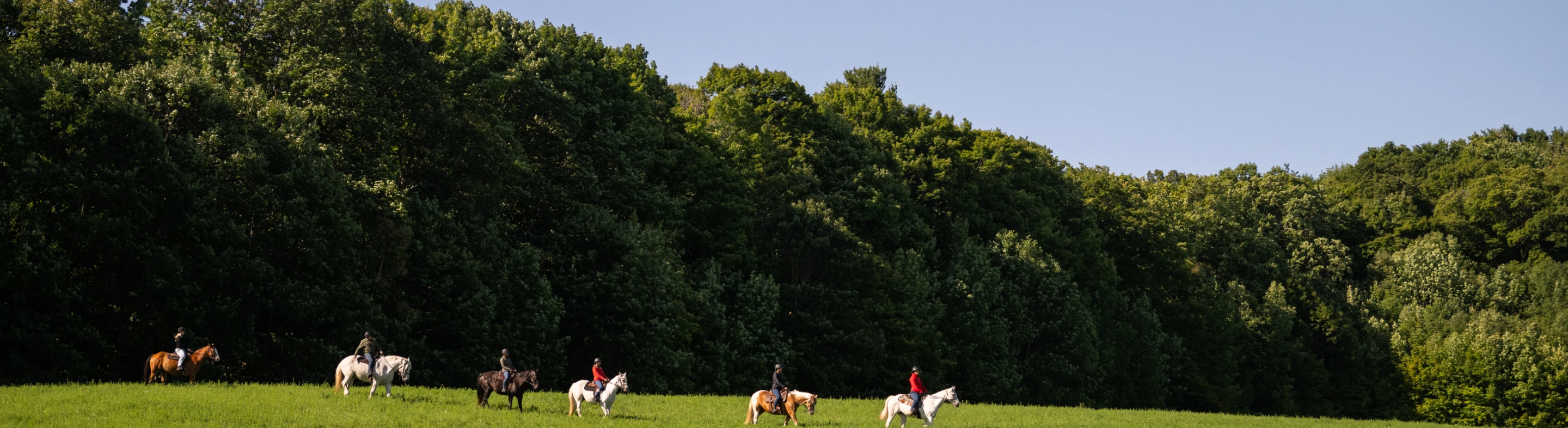 special event representation