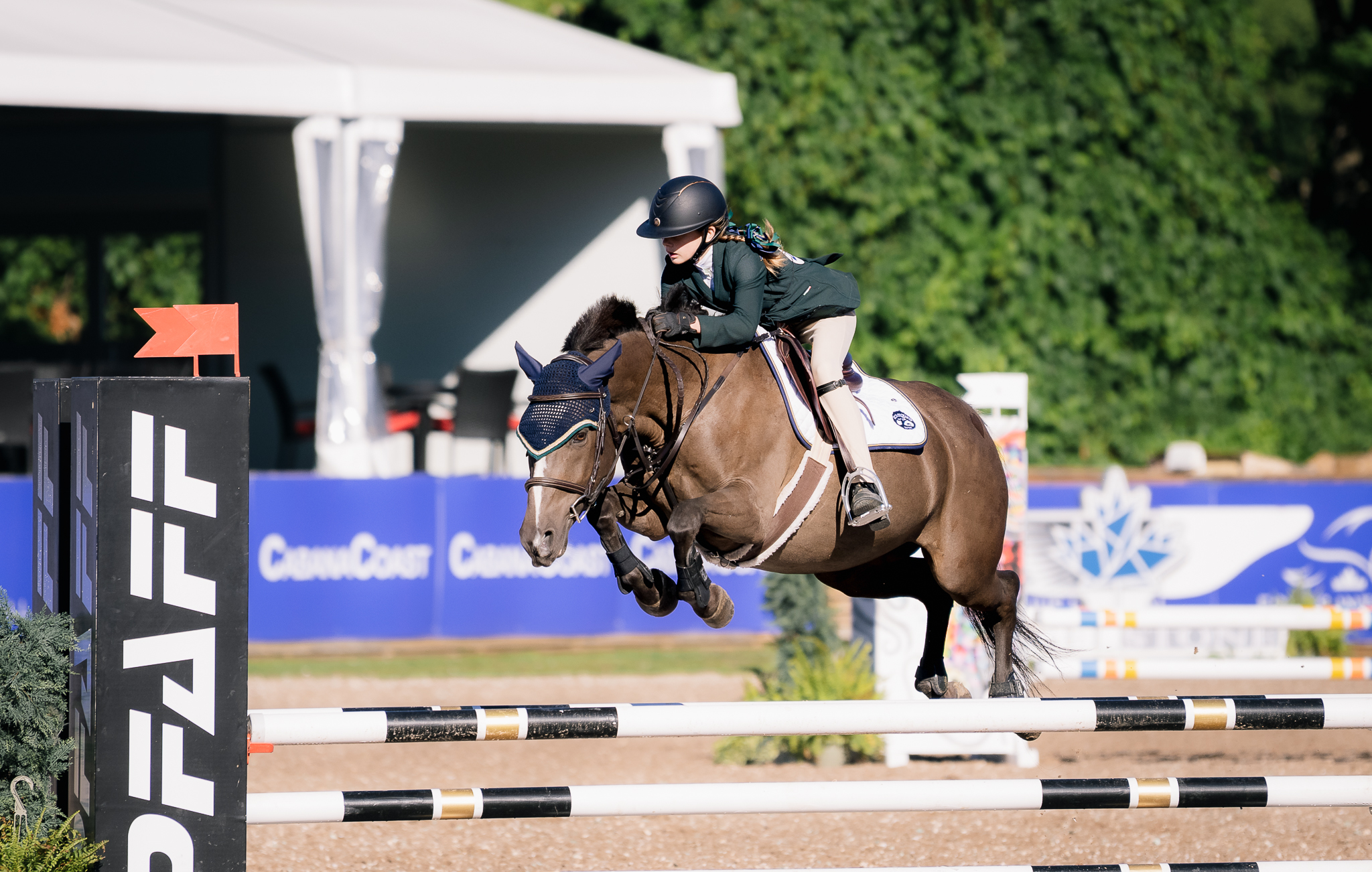 Get access to important information with Ontario Equestrian