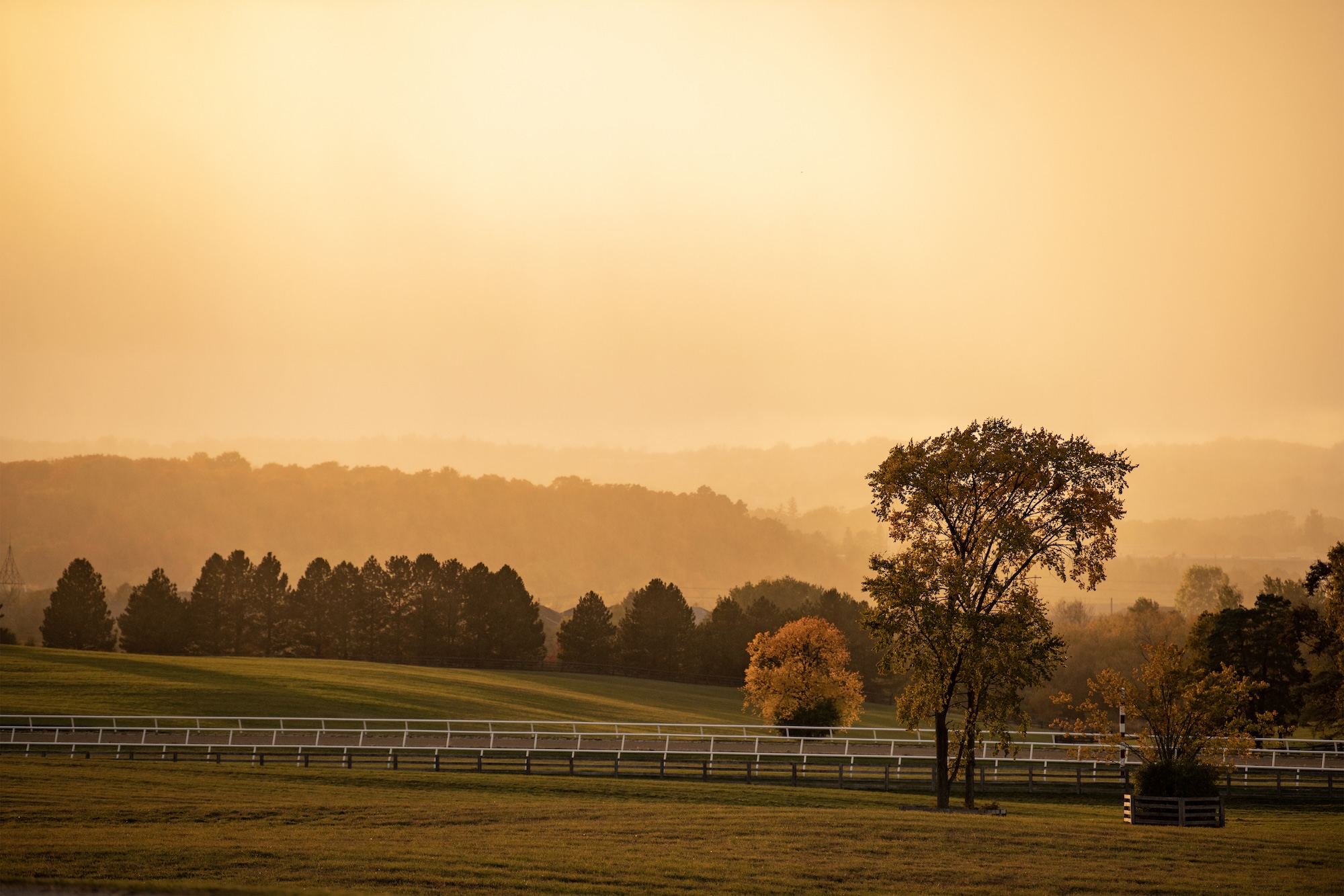 Get access to important information with Ontario Equestrian