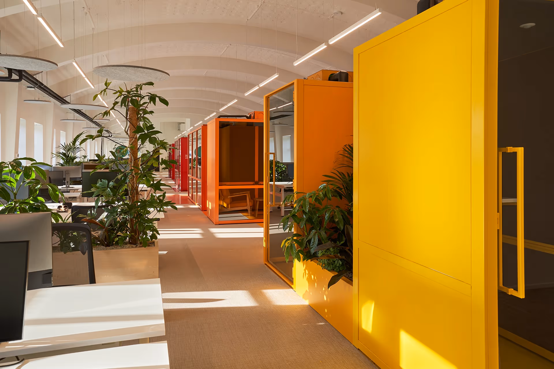 Botanic colourfull officespace