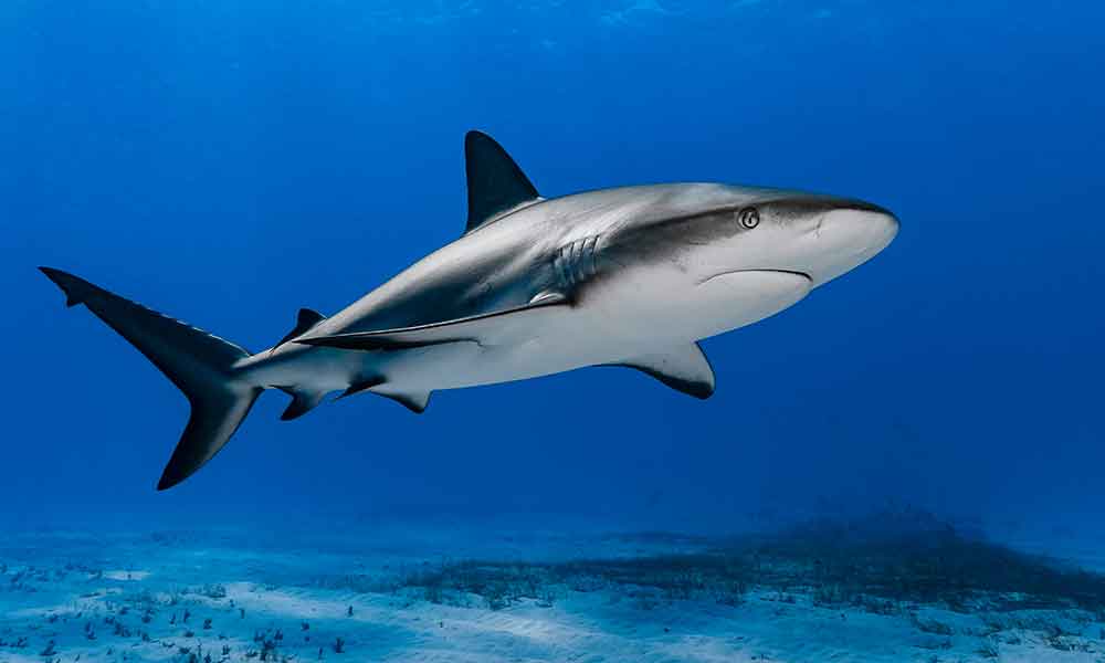 Discovery, Inc shares their experience with Clearview Group.