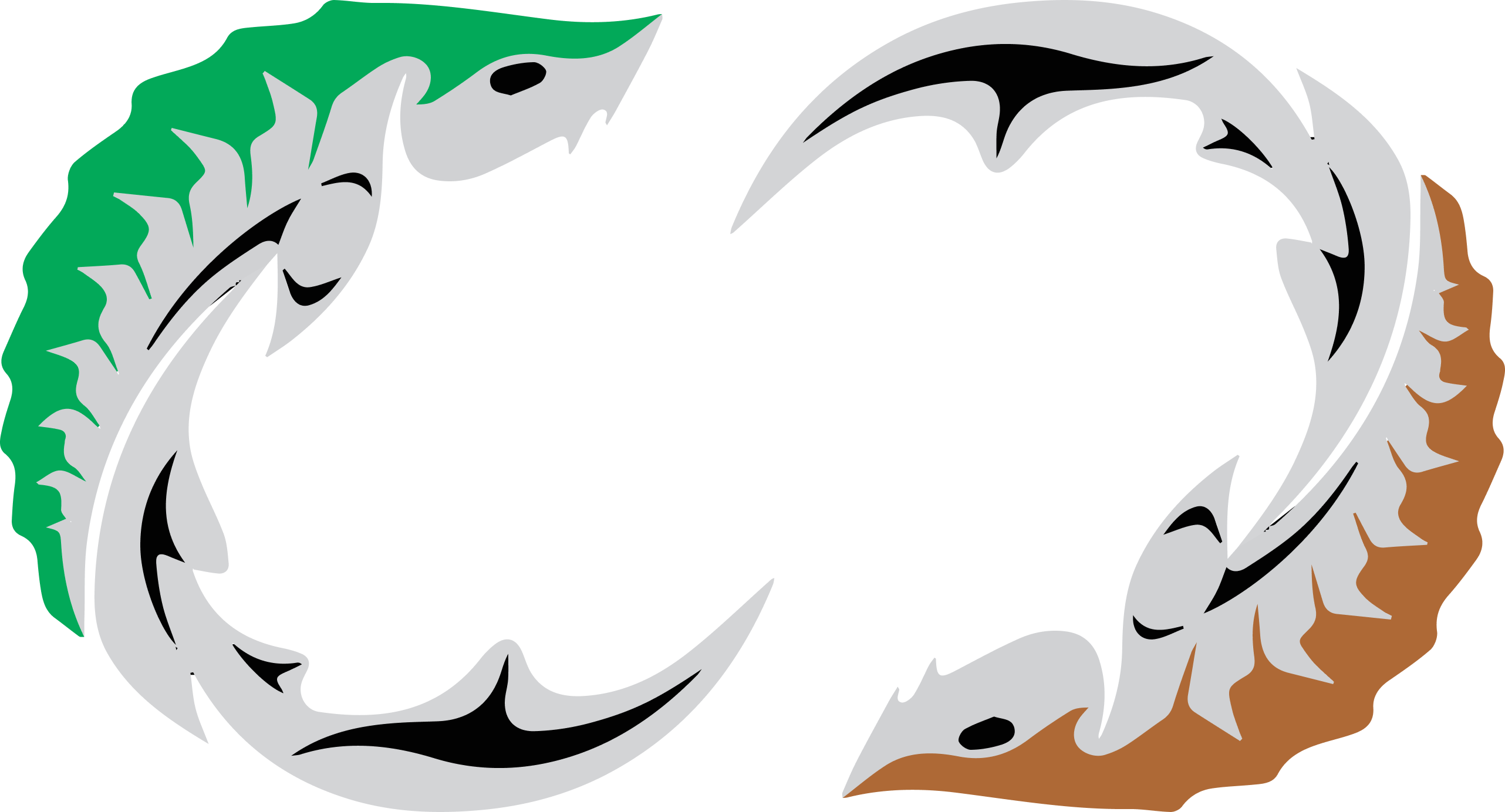 sq’éwlets first nation logo