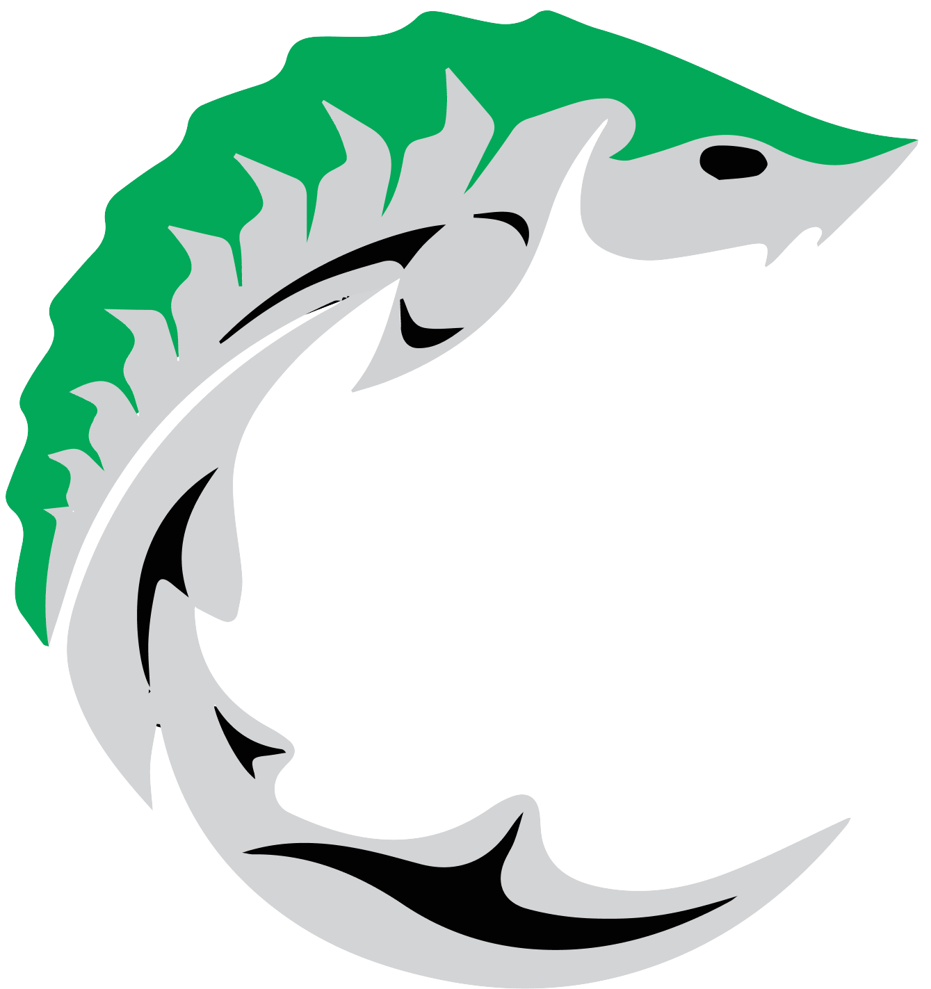 Introducing q’eyéx