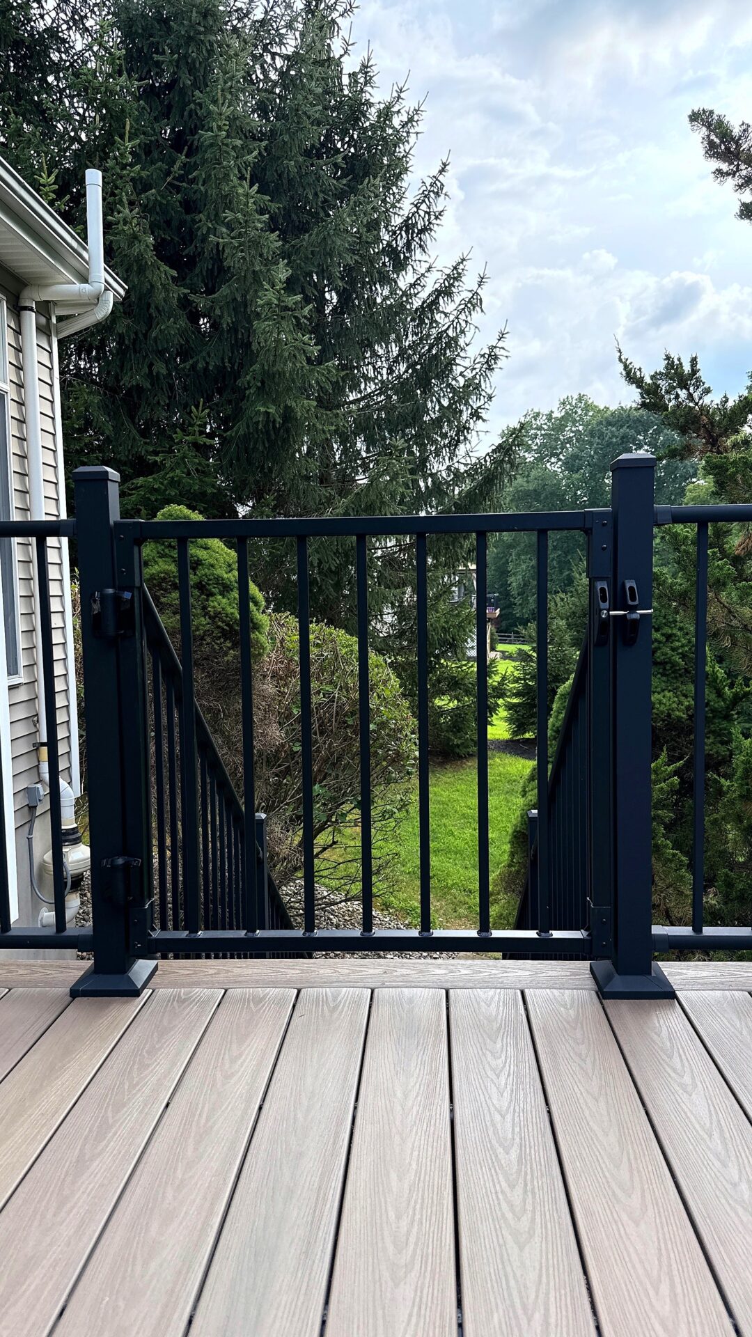 Portfolio Image