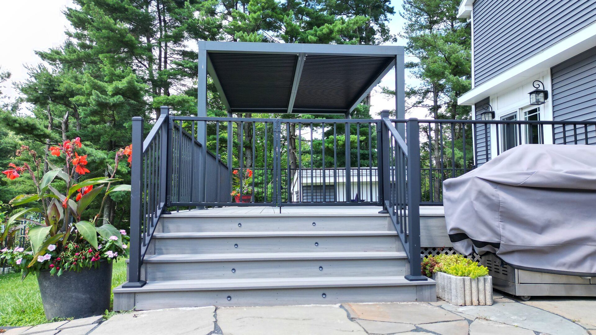 Portfolio Image