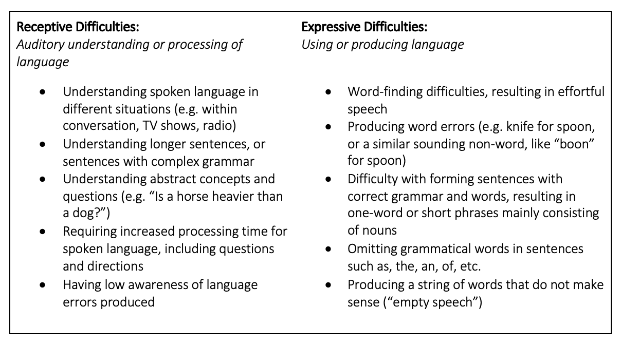Chart outlining a list of Receptive Difficulties and Expressive Difficulties